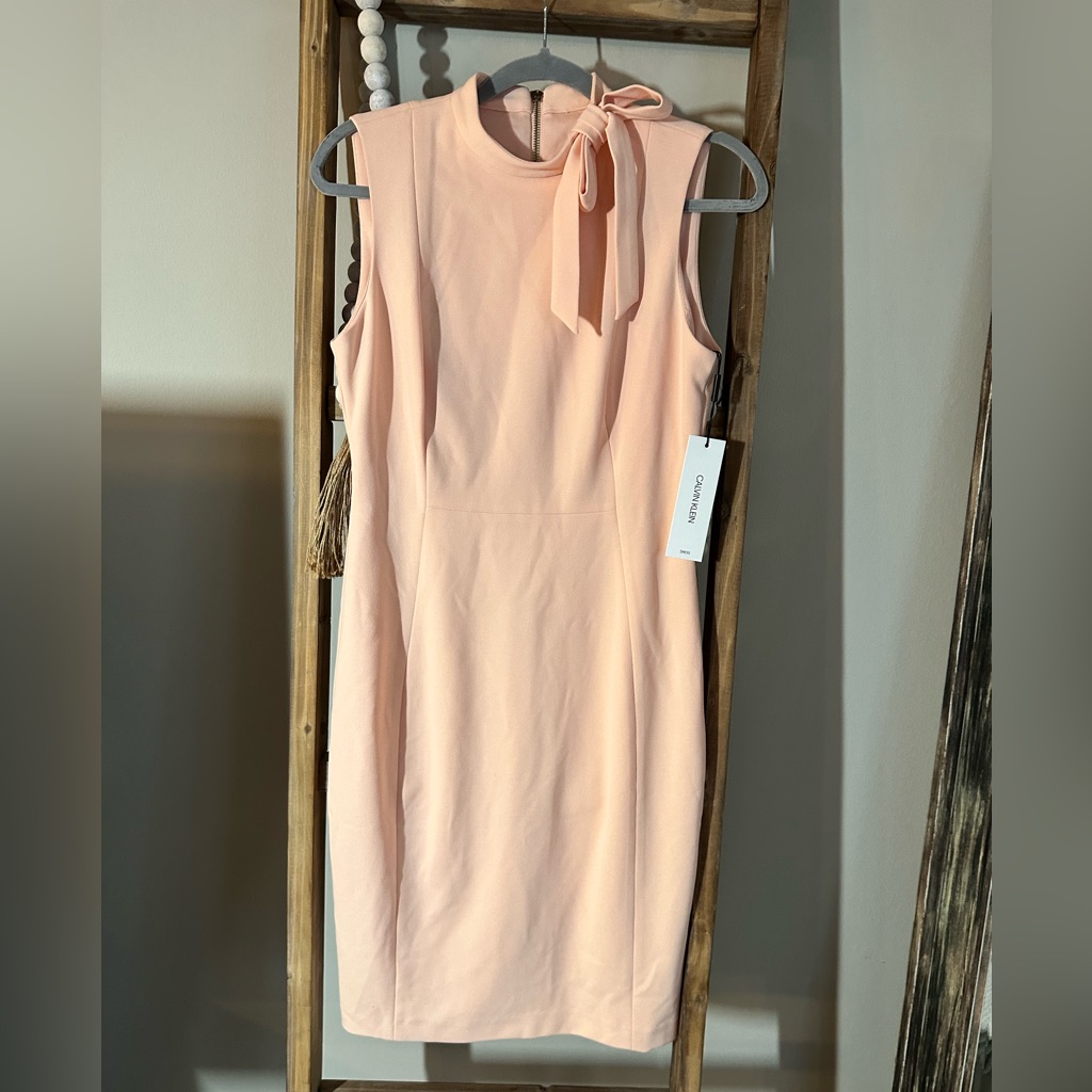 Calvin Klein Blush Pink Bow-Neck Sleeveless Sheath Dress Nwt